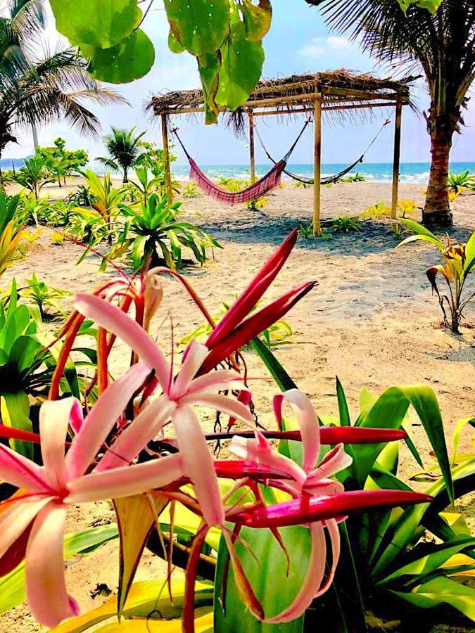 Seaside Garden Ecolodge 몸피체 외부 사진